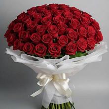 Букет 101 Красная роза Блэк Мэджик в Энергетик