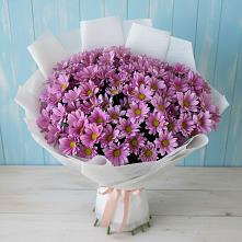 Букет цветов из:  Хризантемы в Энергетик