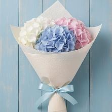 Букет цветов из:  Гортензия в Энергетик