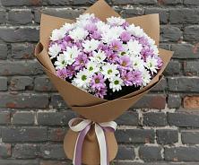 Букет цветов из:  Хризантемы #REPLACE_PRED# Энергетик