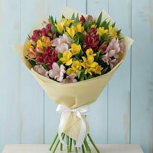 Букет цветов из:  Альстромерии #REPLACE_PRED# Энергетик