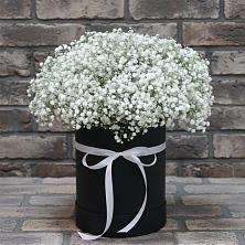 Цветочная композиция из Гипсофила в шляпной коробке в Энергетик