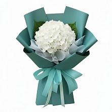 Букет цветов из:  Гортензия в Энергетик
